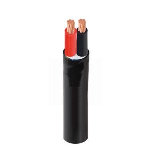 Dây cáp điện 2 lõi Cadivi CVV-2x10 - 300/500V
