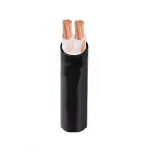 Dây cáp điện 2 lõi Cadivi CXV-2x2.5 mm2 - 0.6/1kV