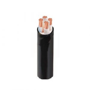 Dây cáp điện Cadivi CXV-3x10+1x6 mm2 - 0.6/1kV
