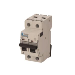 MCB Fuji BCL63E0CG-2P040 2P 40A 6kA