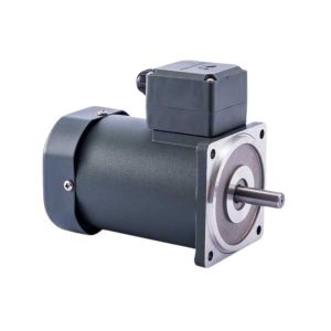 Động cơ điện 80YS-25W-DY38 25W 3 Pha
